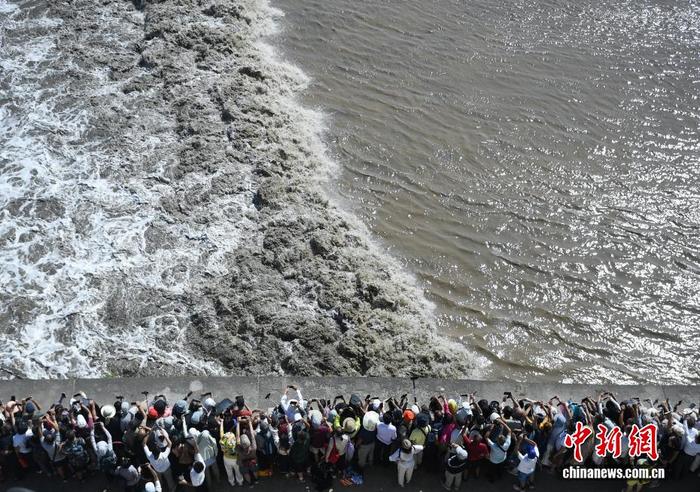 浙江海宁：钱塘江大潮汹涌壮观吸引游客