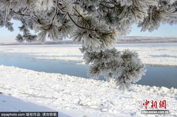 黑龙江呼玛：雾凇美景醉游人
