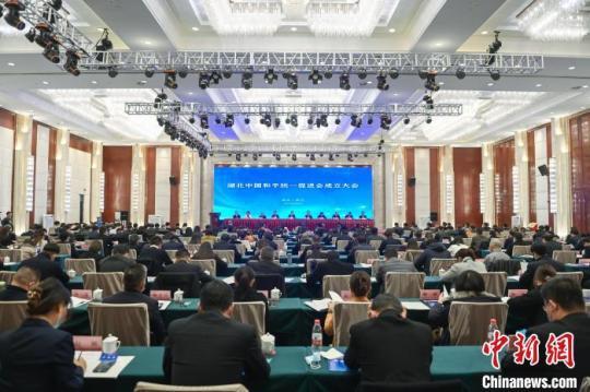 湖北中国和平统一促进会揭牌成立