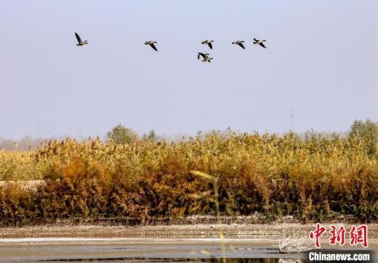 展开反诈饱吹 保护财产安然