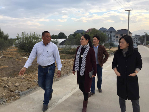 浙江丽水松阳县副县长率队调研侨资企业