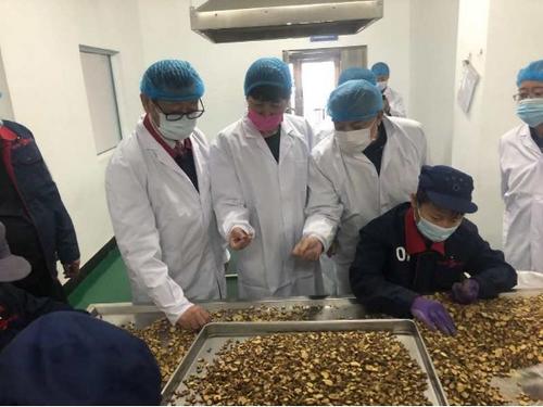 中国侨网(图片来源:吉林省侨联网站)