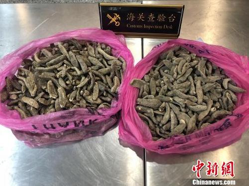 中国侨网干制海参属于水生动物产品，为禁止携带、邮寄进境物品。义乌海关提供