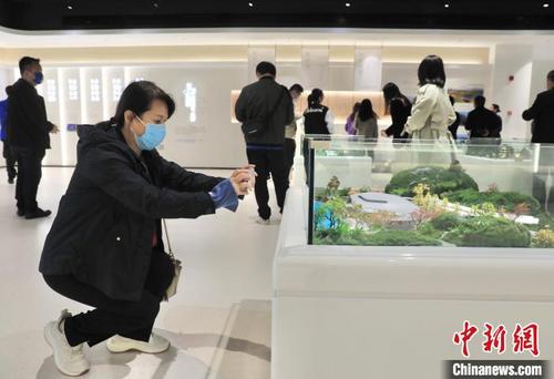 中国侨网一位海外华媒代表在2024年成都世界园艺博览会主会场展示中心拍摄展出的沙盘。　王磊　摄
