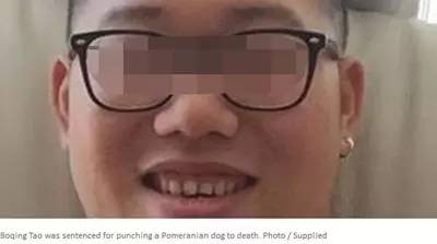 (新西兰天维网)