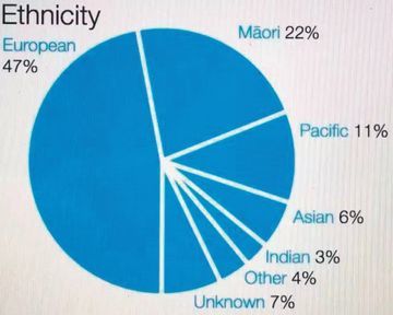 美国亚裔人口比例_全美华裔人口逾380万 亚裔人口增长幅度最大(2)