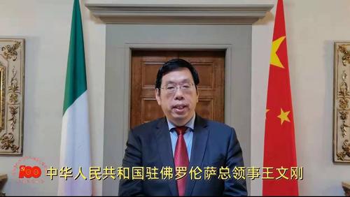 中国侨网王文刚总领事致辞的视频截图