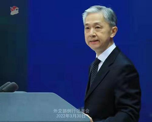 中国侨网外交部发言人汪文斌 薛伟 摄
