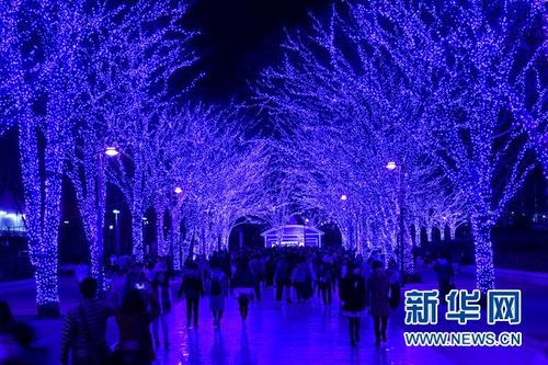 中国侨网12月18日晚，涉谷，NHK电视台附近的公园里的“蓝色洞窟”梦幻夜景吸引了大批民众前来观赏。新华网发 华义 摄