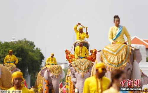中国侨网资料图：当地时间2019年5月7日，泰国曼谷大皇宫附近，象夫骑着大象民众一起游行庆祝，向泰国国王玛哈·哇集拉隆功致敬。