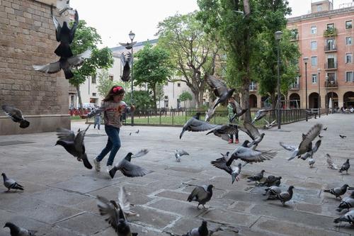 中国侨网5月25日，在西班牙巴塞罗那市中心玩耍的孩子。新华社记者 孟鼎博 摄
