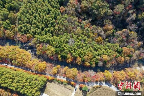 中国侨网图为无人机拍摄三道湾生态旅游景区。　于海洋　摄