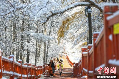 中国侨网阿尔山国家森林公园里，游客漫步在铺满雪的木栈道上。　赖志强　摄