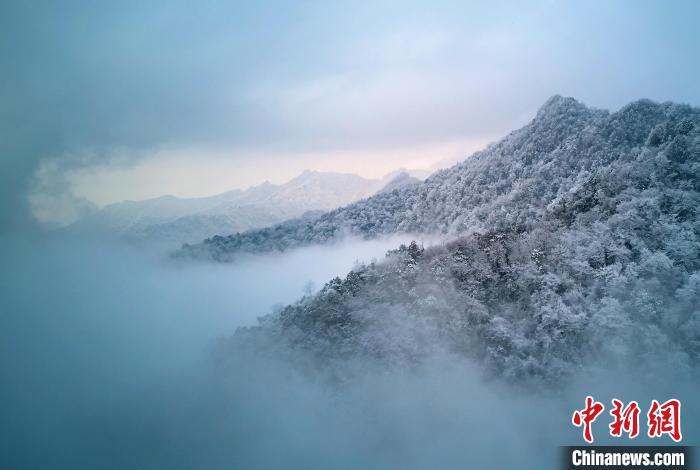 中国侨网12月10日,四川省绵阳市平武县药丛山迎来入冬后第一场降雪,山川草木银装素裹,一派瑞雪兆丰年的喜人景象。雪后的药丛山远山如黛,云雾缭绕,雪白的山峰在云雾中时隐时现,白雪、山林、云雾、公路相互映衬,构成一幅独特而静谧的画卷,让人仿佛置身仙境。胡宇 摄