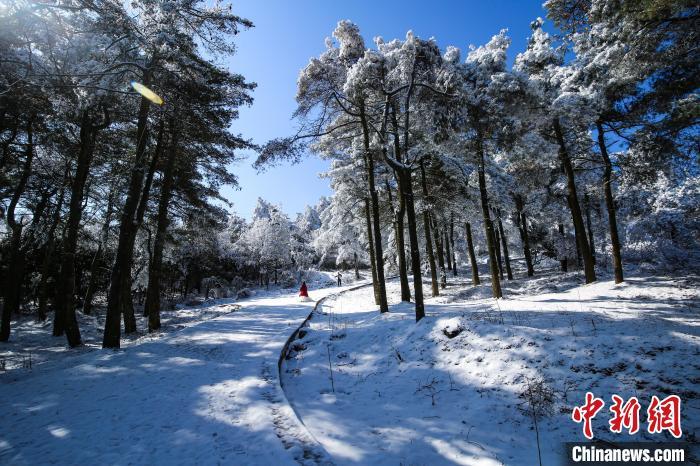 中国侨网贵州省六盘水市近日迎来雪后初霁,位于六盘水市水城区的玉舍国家森林公园出现了壮美的雾淞景观,众多游客趁着晴好天气,纷纷前往玉舍国家森林公园内的玉舍雪山滑雪场滑雪游玩、观赏雾凇。图为1月12日,游客在玉舍国家森林公园观看雾凇景观。赵桦 摄