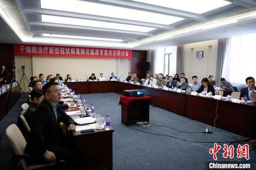 中国侨网会议现场。 宋彦宁 摄