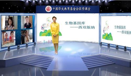 中国侨网(图片来源:中国华文教育基金会)