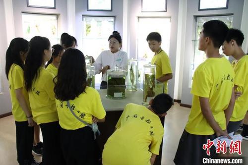 海外华裔青少年寻访河南中医药文化