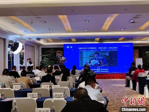 中国侨网图为活动现场。 韩帅南 摄