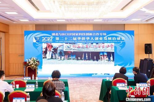 中国侨网2022年华创会举办“湖北与RCEP国家科技创新合作”专场活动 华创会组委会供图