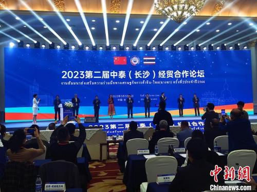 中国侨网2023第二届中泰(长沙)经贸合作论坛现场。 向一鹏 摄