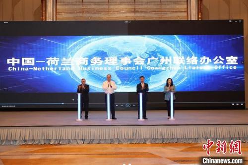 中国侨网活动现场 南沙区政府 供图