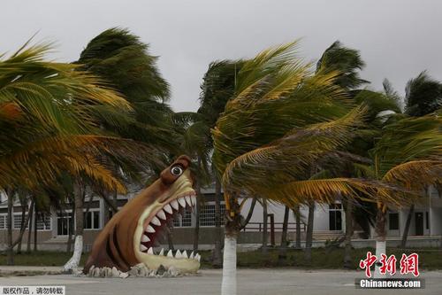 飓风登陆墨西哥 沿海地区迎来狂风暴雨