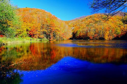 福岛县与长野县获评日本最受欢迎红叶观赏地 中国侨网