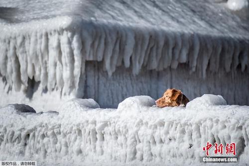 丹麦遭寒流侵袭 房子被冻成“冰坨”