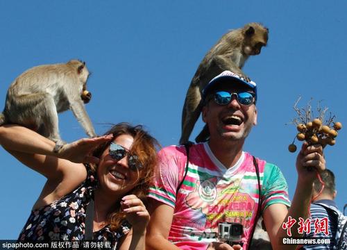 泰国举办年度“猴子自助餐节” 