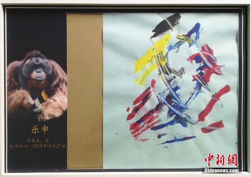 19岁红猩猩迷上画画 写意画风成动物界“灵魂画手”