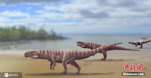 古生物学家新发现：远古鳄鱼用两条腿走路