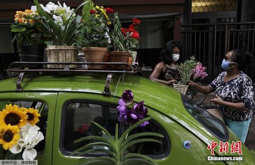 巴西女子开设流动花店 复古轿车被鲜花包裹