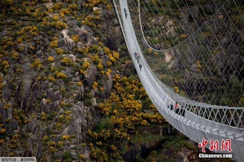一眼望不到头！世界最长人行悬索桥开放
