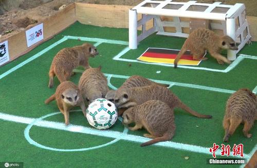 洛神水赋 爆火团队 出圈的是作品 是中华文化 中国侨网