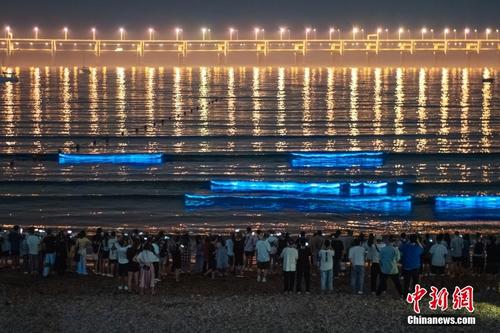 大连星海湾现“蓝眼泪”梦幻荧光海