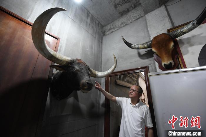 福州角梳历史悠久,与脱胎漆器和油纸伞并称为“福州三宝”。福州角梳制作技艺于2022年被列入福建省非物质文化遗产代表性项目名录。中新社记者 王东明 摄