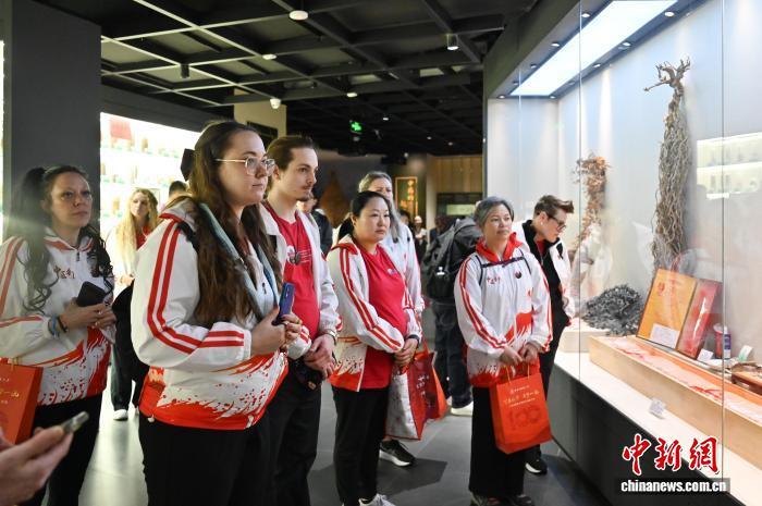 3月10日，第二届“汉语桥”加拿大学生文化交流团开营仪式在位于广东省广州市的广州中医药大学大学城校区举行，来自加拿大针灸中医学院的20名师生将开展为期14天的中医药文化探索之旅，感受中华优秀传统文化与中医药的魅力。图为加拿大针灸中医学院的师生参观广东中医药博物馆。中新社记者 陈楚红 摄　