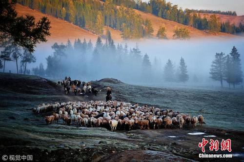 新疆阿勒泰天气转冷 牧民晨曦薄雾中准备迁徙 