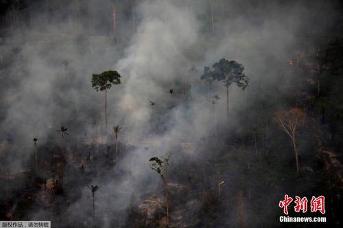 巴西亚马孙雨林大火持续 浓烟滚滚 