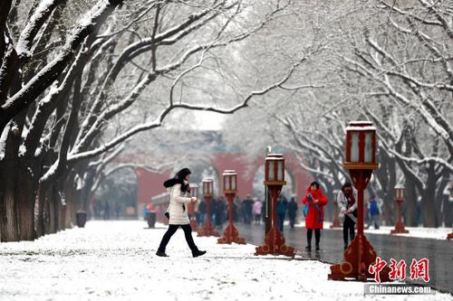北京迎来今冬初雪 市民踏雪嬉戏赏冬日美景
