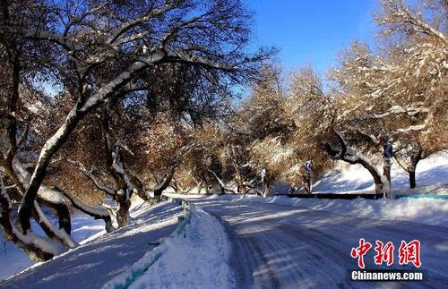 新疆天池景区强降雪后变“银色大道”