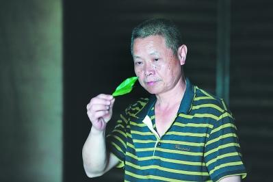 郑明雄在闻茶香。  曾剑郎 摄