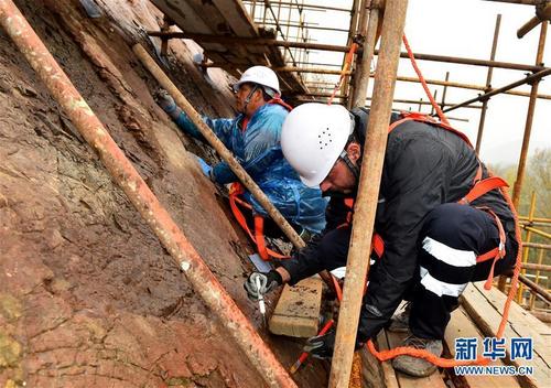 中希合作“保育”北京延庆恐龙足迹化石 