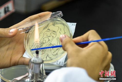 南京高校大学生脑洞大开用细菌作画