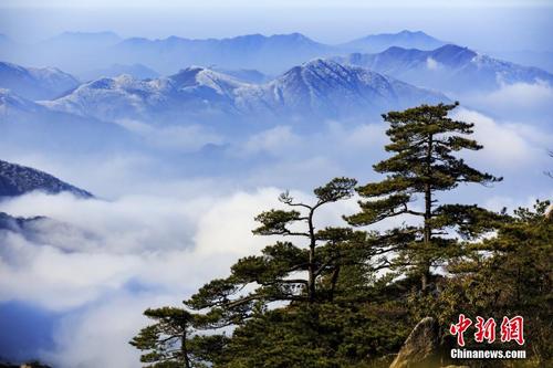 当云海遇上日出光晕 安徽黄山风景美如画境 