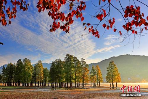 流金溢彩安徽黄山奇墅湖 