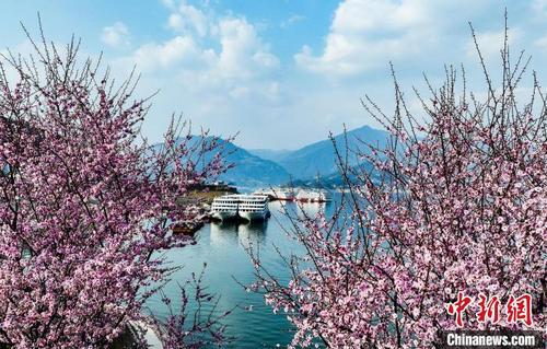 春暖三峡 花漾峡江