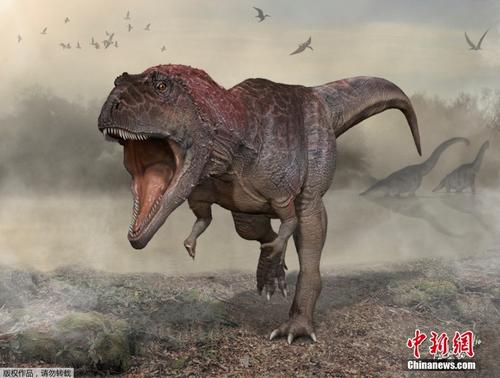 阿根廷北部发现白垩纪恐龙化石 其头骨几乎完整