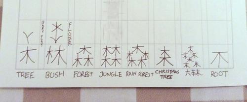 日籍小学生用汉字 木 造字加注英文被赞有创意 中国侨网